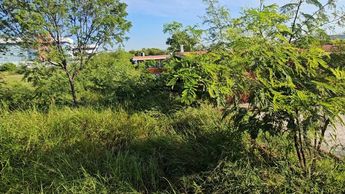 Escuela en Escobedo, Nuevo León, tiene hierba crecida | Fabricio Gallegos