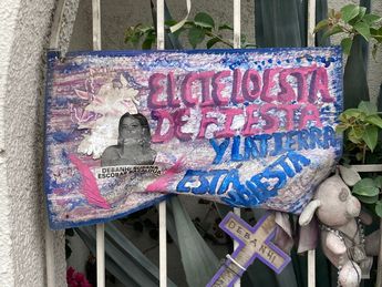 Carteles con la figura de la joven neoleonesa. | Carlos Ortega