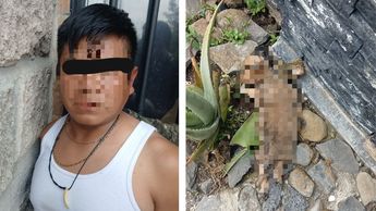 Detienen a José Manuel 'N' en El Salto por matar a un perro; portaba credencial de la Guardia Nacional.