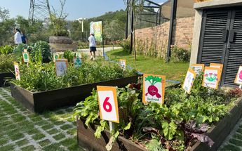 Colegio inaugura el "Green Grizzly Park” | Marcela Cuevas