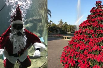 Santa Claus convive con las familias durante la temporada navideña en el Zoológico de Guadalajara | Foto: Fátima Briceño