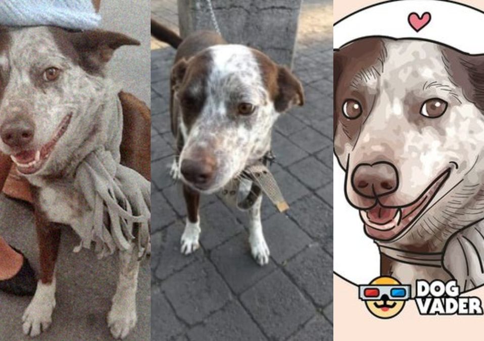Regresen a Tito, piden en redes sociales /Especial