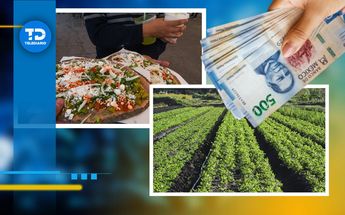 Aumenta el precio del cilantro en México / Cuartoscuro