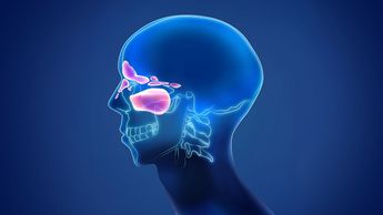 La sinusitis es la inflamación del tejido que recubre los senos paranasales / CANVA