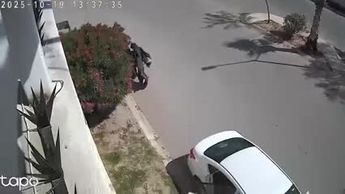 Torreón: Mujer regresa inflable que robó de circuito en Viñedos