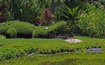 Jardín mágico de Atlixco | Melanie Torres