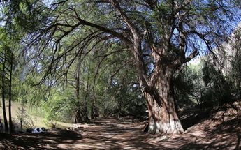 Acceso al Cañón de Fernández seguirá cerrado; detectan sitios que promueven viajes