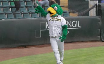 Pepe Perico es la mascota de Pericos de Puebla que ambienta los juegos de local / Agencia Enfoque