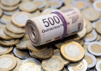 El incremento al salario mínimo será a partir del 1 de Enero del 2022 / Shutterstock