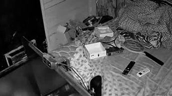 Videos sobre sismo en Monterrey