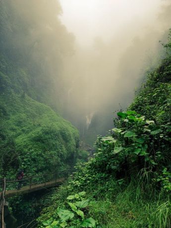 La neblina hace que el ambiente en Honey adquiera un toque mágico a cada paso del recorrido / Cortesía