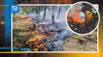Incendios forestales en Jalisco / Especial