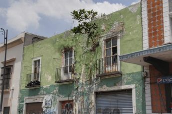 En algunas casas, arbustos han crecido en las fachadas o techos / Melanie Torres