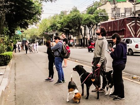 Las mascotas también deben ser desalojadas antes un temblor en México | Cuartoscuro