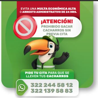 El servicio de descacharrización se opera con cita previa en Puerto Vallarta | Gobierno de Puerto Vallarta