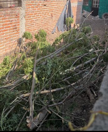 Fosa clandestina en Rancho Nuevo el Llanito, Irapuato.