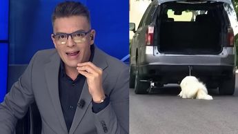 Ángel Carrillo reacciona caso de Rocky, perrito maltratado en Saltillo