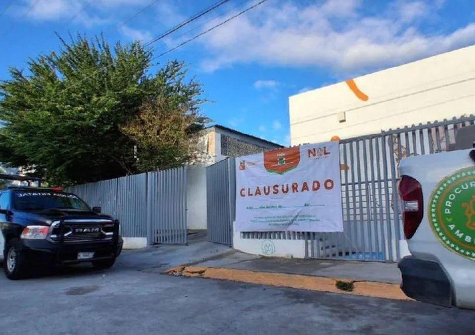 Algunos animales, según el comunicado, evidenciaban falta de atención veterinaria | Especial