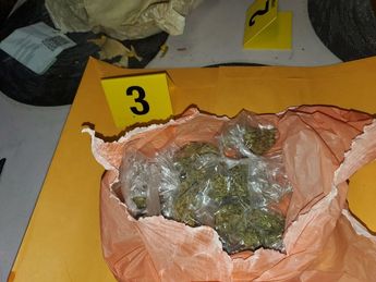 Mariguana asegurada en cateo de Apodaca, Nuevo León. | Cortesía