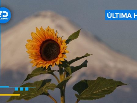 El semáforo de alerta volcánica del Popocatépetl está en Amarillo Fase 2 HOY 11 de febrero 2025 / Andrés Lobato
