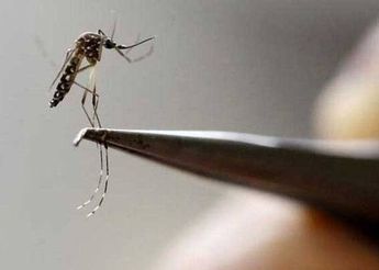 Niño de cinco años muere por posible contagio de dengue