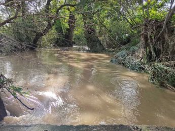 Tras lluvias, aumenta nivel de agua del río San Juan en Cadereyta / Alexandra Amao