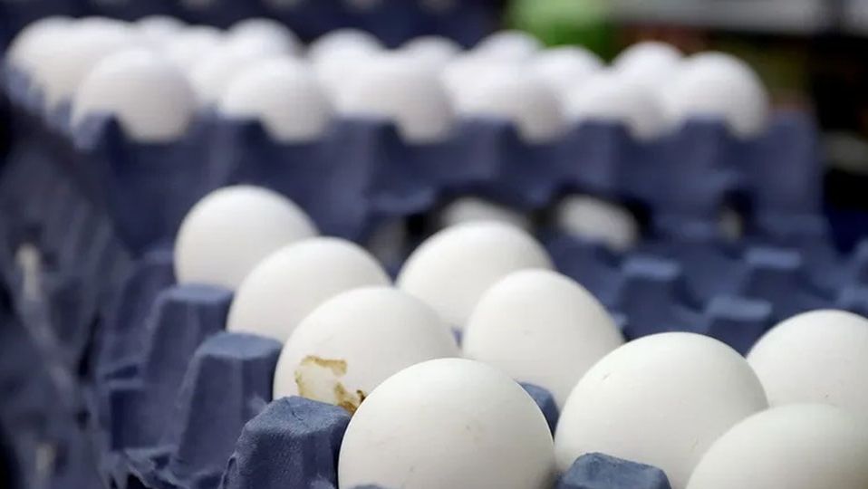 Incrementa incautación de huevo en Estados Unidos