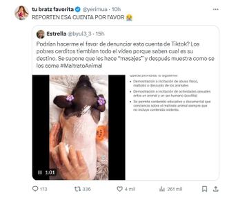 Yeri Mua pide denunciar cuenta de TikTok por maltrato animal. | Especial