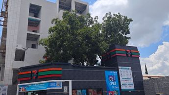 Árbol crece dentro de 7-Eleven
