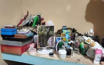 Se intuye que la boa constrictora fue arrastrada por las fuertes lluvias | Jhonatan González