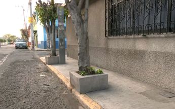 Bebé hallado en jardinera | Especial