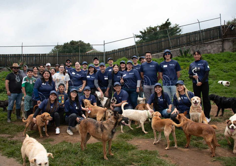 Los voluntarios dedican parte de las visitas a jugar y convivir con los lomitos rescatados. (Guillermo Quintero)