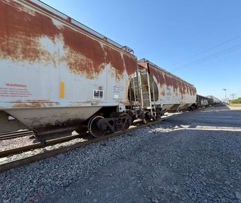 De acuerdo con los primeros reportes, la madre señaló que no escuchó la señal de la locomotora.| Jesús Villegas