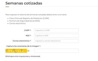 Formato para obtener la constancia se semanas cotizadas /Captura de pantalla