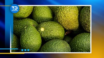 Existen más de 30 mil productores certificados en Michoacán / Telediario especial
