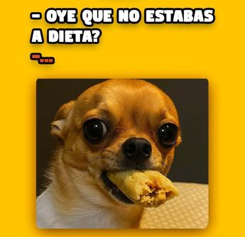 Los memes por el día de la candelaria suelen tratar de temas como romper la dieta | @mr.tamalesdedurango