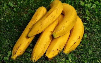 Beneficios del plátano para la salud / Pixabay