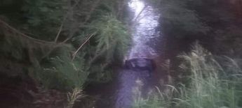 Cae auto a la presa La Boca en Nuevo León | Especial