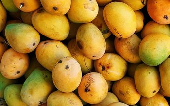 En México, el mango se come en cocteles de fruta, ensaladas, mangonadas con chamoy, jugos, o preparados con chile, limón y sal | Pexels