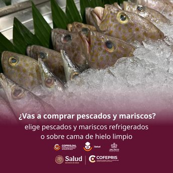Coprisjal llama a vigilar que los alimentos están debidamente refregerados. | Coprisjal