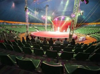 Imagen ilustrativa de gradas dentro de un circo | Shutterstock