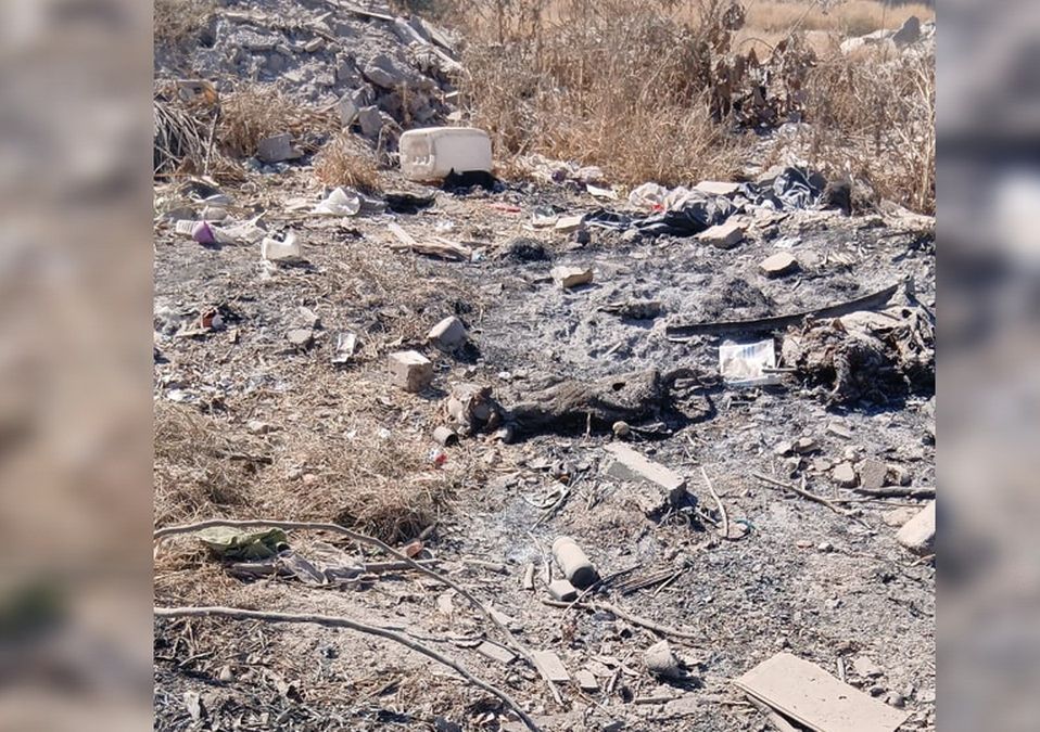La perrita, atada de las patas, había sido quemada viva hasta quedar calcinada /FOTO: Especial