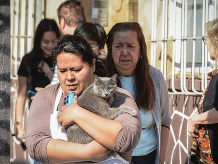 Cuando tiembla, los mexicanos abandonan los inmuebles con sus mascotas | Cuartoscuro