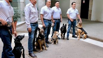 Autoridades estatales destacaron que los binomios caninos cuentan con una efectividad cercana al 90 por ciento | Foto: Ricardo Valdivia