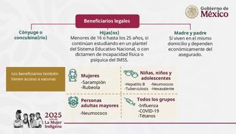 Beneficios legales para migrantes en México