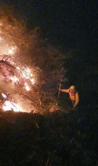 Cuerpos de auxilio reiniciaron labores a primera hora del sábado. | Protección Civil de Nuevo León