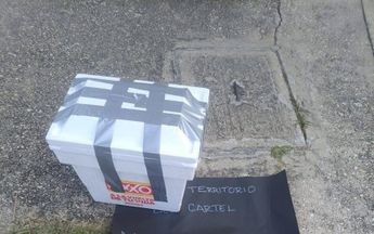 Aylin forma parte de los tres hallazgos de cuerpos humanos reportados en Coatzacoalcos en tres puntos distintos / Especial