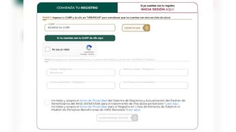 Para comenzar el registro del IMSS Bienestar debes ingresar tu CURP | Especial