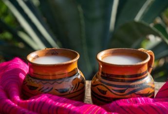 ¡Salud! Pulque queda libre de impuestos; SAT le quita el Impuesto Especial