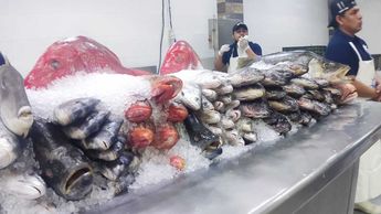 Telediario acudió a una pescadería en la colonia Moderna para ver opciones de pescados y mariscos. | Francisco Zúñiga Esquivel